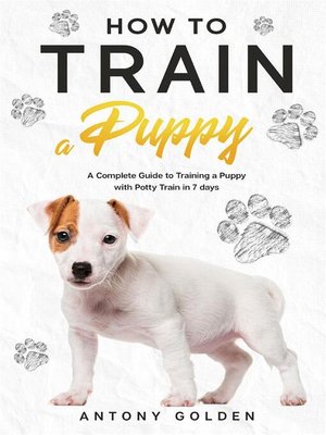 cover image of How to Train a Puppy